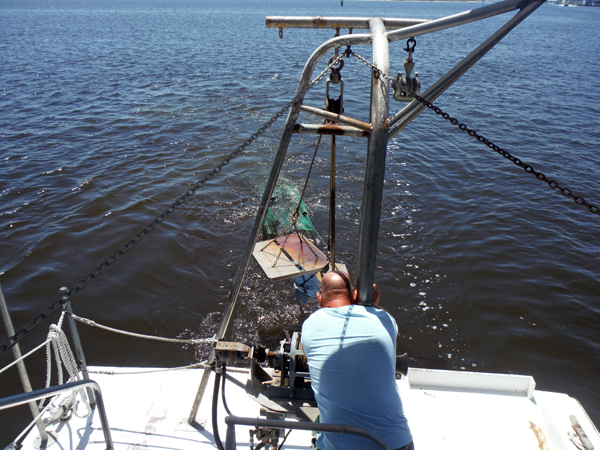 putting out the net